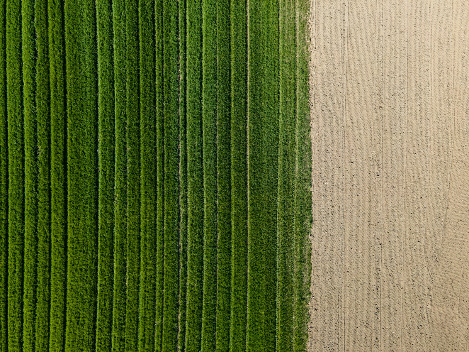 green and white concrete wall